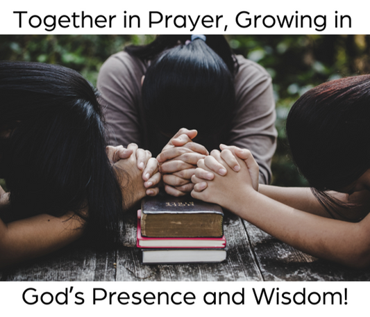 Joyfully Desiring God This Summer: The Treasure of God’s Wisdom