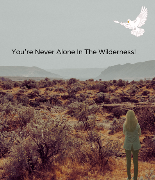 God is Forever Faithful in Your Wilderness